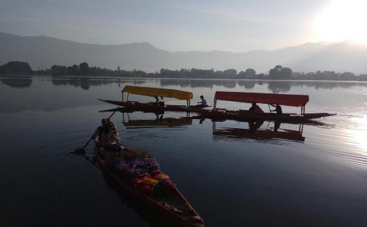 Hình 8 Người dân Kashmir Ấn Độ bán quà lưu niệm trên làng nổi Nguồn Cẩm 8