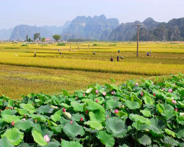 12 Cảnh làng quê Ninh Bình Nguồn http www ninhbinhtourism com vn 7