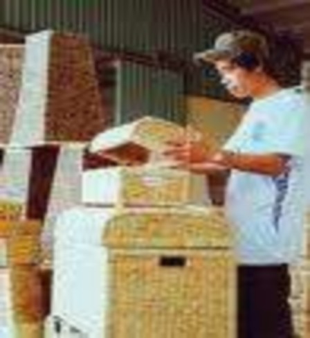 Sản phẩm từ Bèo Tây Chả gà Tiểu Quan Hát Trống Quân 7