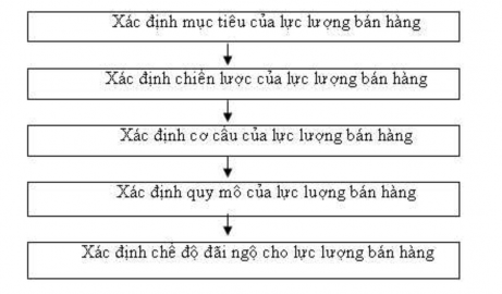 Sơ đồ 1 3 Các bước thiết kế và tổ chức lực lượng bán hàng Nguồn Giáo 3