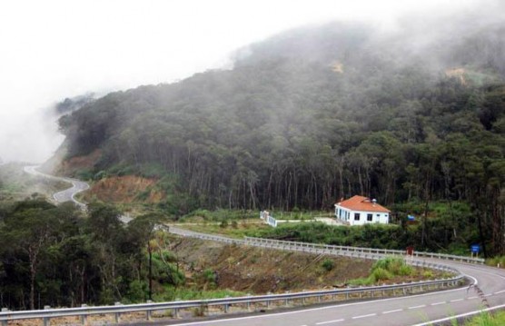 Hình 10 Vườn quốc gia Bidoup Núi Bà 10