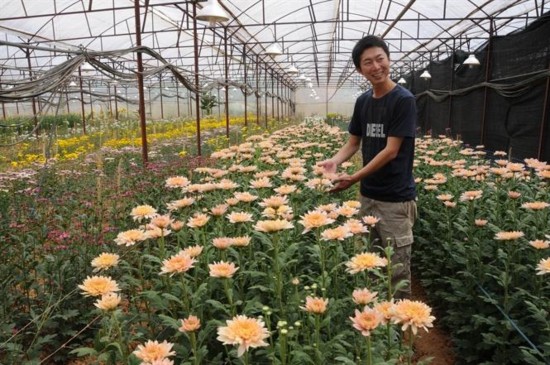 Hình 5 Vườn hoa cúc Hình 6 Vườn hoa hồng Hình 7 Biểu diễn cồng chiêng Tây 5