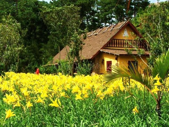 Hình 8 Làng Cù Lần Hình 9 KDL Langbiang Hình 10 Vườn quốc gia Bidoup Núi Bà 8