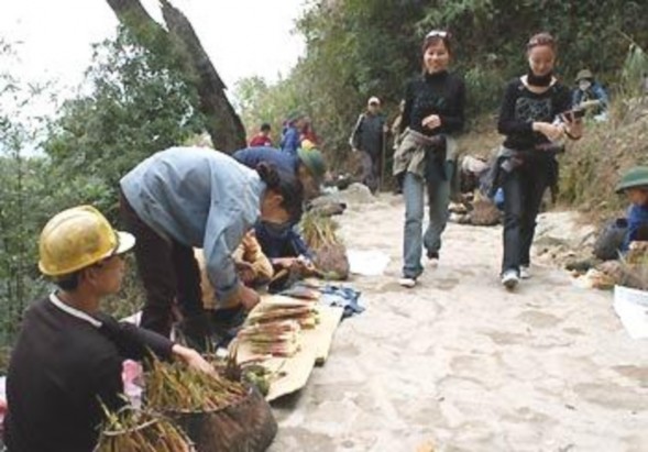 Hình ảnh 9 Sản vật rừng Yên Tử Hình ảnh 10 Tượng An Kỳ Sinh Hình ảnh 12 9