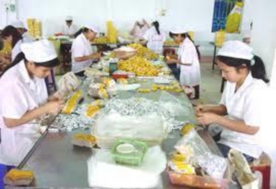 Cơ sở sản xuất bánh đậu xanh Bánh gai Ninh Giang Bánh đa Kẻ Sặt Bún Đông Cận 2