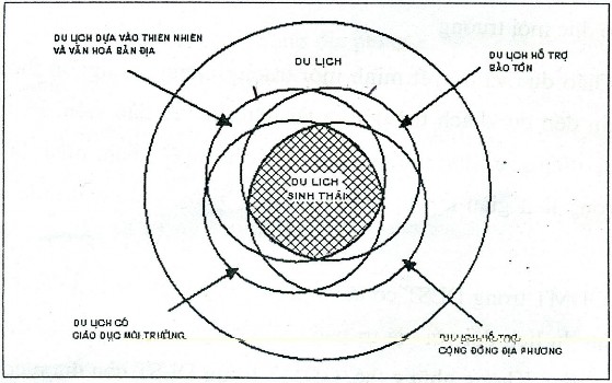 Hình 1 1 Cấu trúc du lịch sinh thái Nguồn 11 Như vậy DLST là loại hình du 13