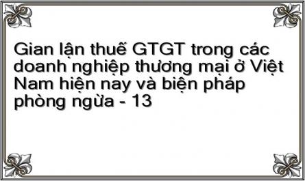 Gian lận thuế GTGT trong các doanh nghiệp thương mại ở Việt Nam hiện nay và biện pháp phòng ngừa - 13