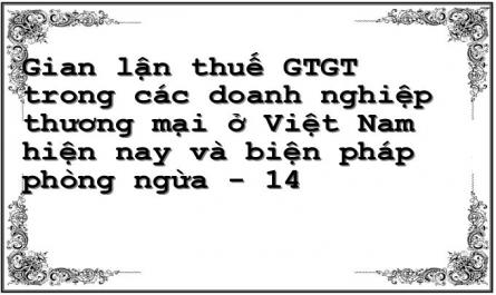 Gian lận thuế GTGT trong các doanh nghiệp thương mại ở Việt Nam hiện nay và biện pháp phòng ngừa - 14