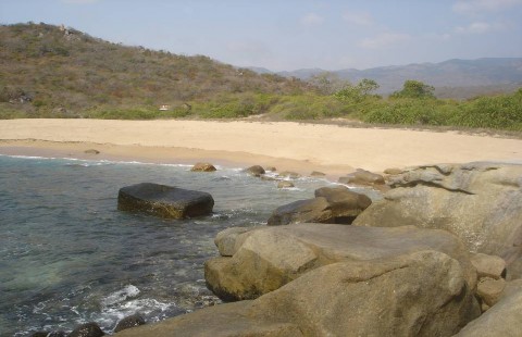 6 Bãi Suối Sâu 7 Rừng Khô Hạn Sinh Cảnh Ven Biển 8 Sinh Cảnh Rừng Khô Hạn 9 4