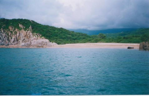 7 Rừng Khô Hạn Sinh Cảnh Ven Biển 8 Sinh Cảnh Rừng Khô Hạn 9 Bình Tiên Bình 5