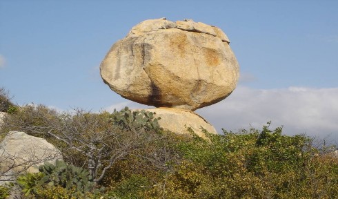 9 Bình Tiên Bình Tiên có một giá trị tài nguyên mà trước nhất là vẻ đẹp 7