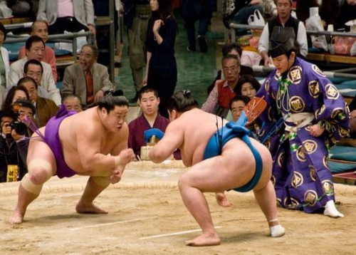 Lễ hội Sumo tại Nhật Núi Phú Sĩ Công viên tại Nhật Tàu Shinkanshen tại Nhật 3