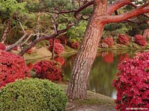 Công viên tại Nhật Tàu Shinkanshen tại Nhật Ẩm thực Nhật Bản Hệ thống giao 6