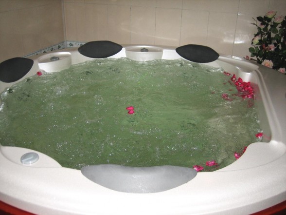 Tài liệu tham khảo 1 Phạm Thị Cúc – Giáo trình lý thuyết nghiệp vụ lễ tân 10