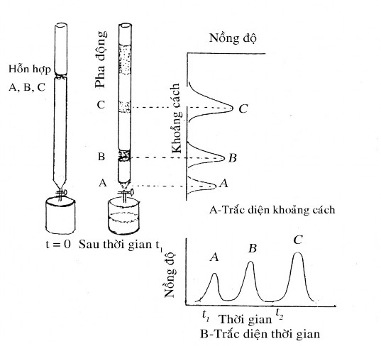 Hình 4 3 Tách sắc kí do Michael Txvet thực hiện các hợp phần A B C có thể 2