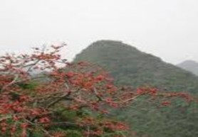 Ảnh 1 1 Cảnh sắc núi rừng Hương Sơn Ảnh 1 2 Bến Đục Ảnh 1 3 Quang cảnh 1