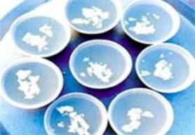 Ảnh 2 3 Rau sắng Ảnh 2 4 Chè củ mài 3 Hình ảnh về tình trạng ô nhiễm suy 16