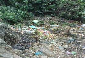 Ảnh 3 7 Ảnh 3 8 Ảnh 3 9 Ảnh 3 10 4 Hình ảnh về những hoạt động nhằm bảo 24