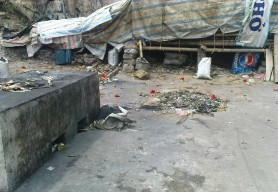 Ảnh 3 7 Ảnh 3 8 Ảnh 3 9 Ảnh 3 10 4 Hình ảnh về những hoạt động nhằm bảo 25