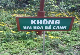 Ảnh 3 12 Ảnh 3 13 Ảnh 3 14 Ảnh 3 1 30