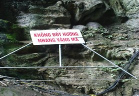 Ảnh 3 12 Ảnh 3 13 Ảnh 3 14 Ảnh 3 1 31