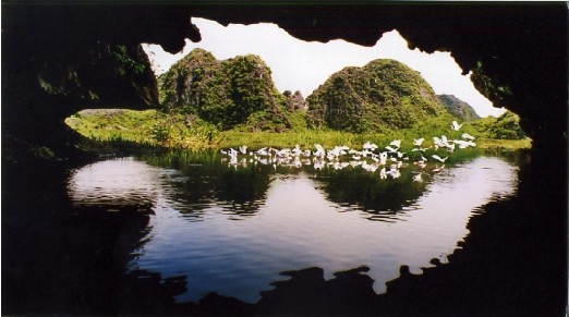 Hình 4 9 Hang Bóng tại KBTTNĐNN Vân Long Nguồn Phòng khoa học KBTTN đất ngập 1