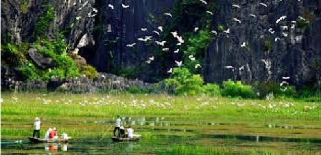 Hình 4 11 Tuyến du lịch núi Mèo cào Nguồn Phòng khoa học Khu bảo tồn thiên 3