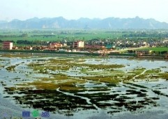 Hang Bóng Khu Đầm Vân Long Tuyến du lịch Hang Bóng Rái cá 4