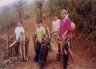 Các vụ vi phạm lâm luật tại Vườn quốc gia ba vì ả nh tư liệu VQG Ba Vì 2