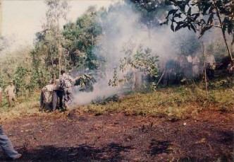 Các vụ vi phạm lâm luật tại Vườn quốc gia ba vì ả nh tư liệu VQG Ba Vì 4