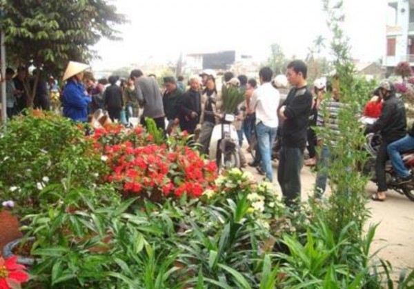 Hình 1 Khu bán chậu cây cảnh Hình 2 Khu bán đồ điện tử cũ Hình 3 Khu bán vật 20