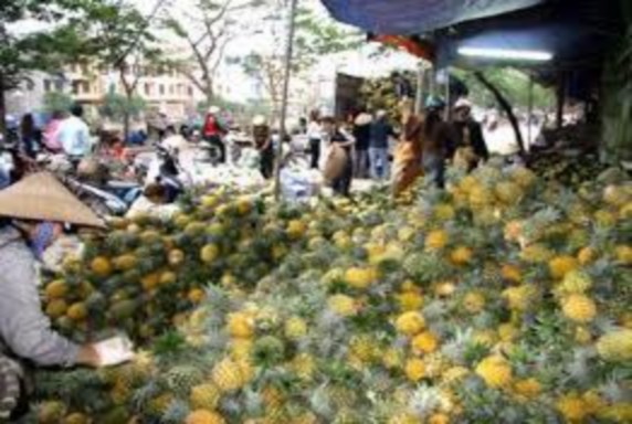 Hình 6 Khu bán hoa quả Hình 7 Khu bán quần áo Hình 8 Chợ đêm Tam bạc Chợ sắt 25