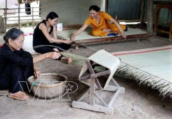 Làng nghề dệt chiếu Lật Dương Thuốc lào Kiến Thiết Tiên Lãng 7