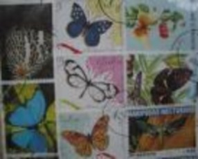 Sản phẩm làng thêu ren Xuân Nẻo Đặc sản phẩm bánh đậu xanh Hải Dương 11