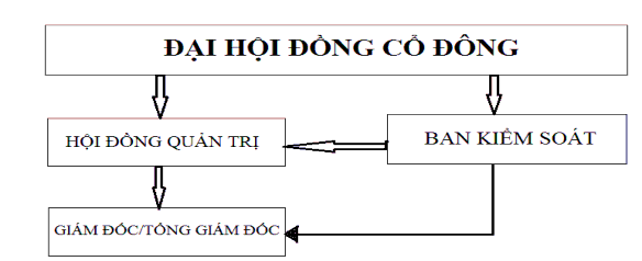 Đại hội đồng cổ đông là tập hợp tất cả cổ đông của công ty Đại 1