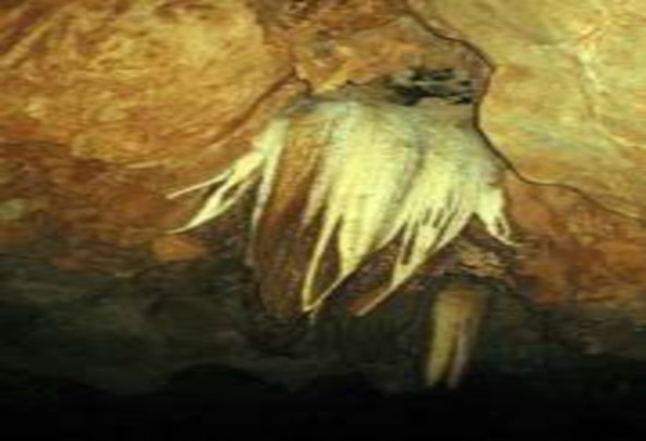 Nhũ đá trong hang Luồn Khu hồ Tam Chúc 11