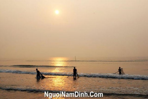 Dự án khu vui chơi giải trí Quất Lâm Tắm biển Quất Lâm Du lịch điền dã Cò 1