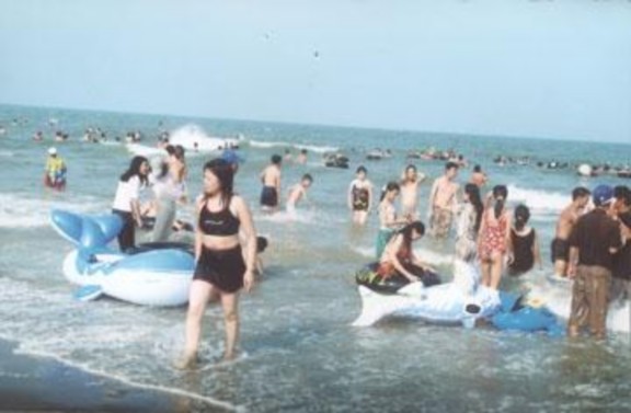 Tắm biển Quất Lâm Du lịch điền dã Cò Mỏ Thìa – VQG Xuân Thủy Vườn Quốc 3