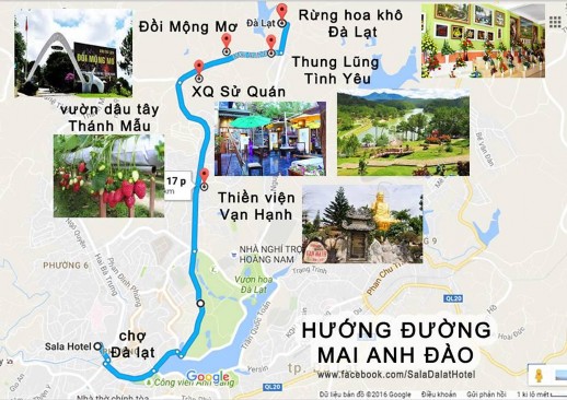 Hình 3 Hướng theo đường Mai Anh Đào Nguồn Sở Văn hóa Thể thao và Du lịch 3