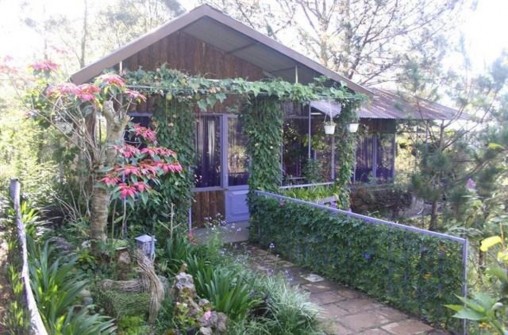 Hình 9 Pine Hill Homestay 27 Lê Hồng Phong P4 Đà Lạt ảnh tác giả Hình 10 9