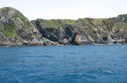 Nguồn Hoàng Kim Anh Trong những hang động đá đen của Hòn Mun hàng năm đều có 2