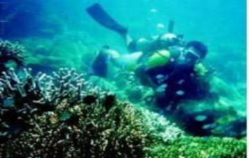 Nguồn www monre gov vn c Hòn Tre Vị trí Hòn Tre nằm đối diện trước thành phố 3