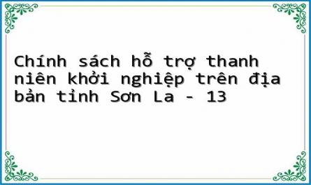 Chính sách hỗ trợ thanh niên khởi nghiệp trên địa bản tỉnh Sơn La - 13