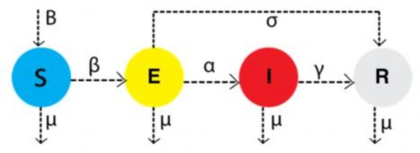 Hình 2 1 Mô hình minh họa quần thể Ta có hệ phương trình vi phân thường sau 3