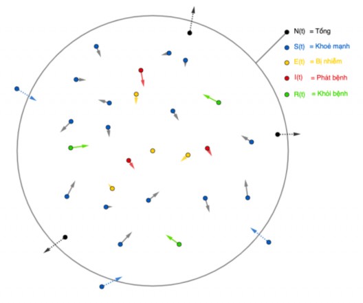 Hình 2 1 Mô hình minh họa quần thể Ta có hệ phương trình vi phân thường sau 4