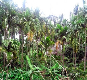 Làng cau cao nhân Làng nghề khai thác nuôi trồng và dịch vụ thủy sản Lập Lễ 2