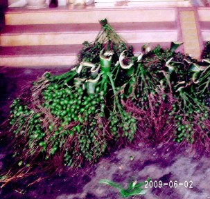 Làng cau cao nhân Làng nghề khai thác nuôi trồng và dịch vụ thủy sản Lập Lễ 3