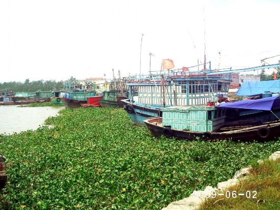 Làng nghề khai thác nuôi trồng và dịch vụ thủy sản Lập Lễ 5