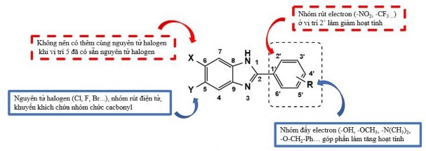 Hình 3 2 Mối quan hệ giữa cấu trúc của các dẫn xuất benzimidazole tổng hợp 1