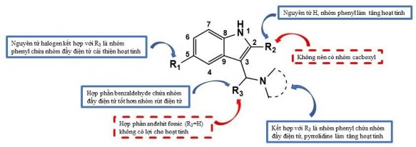 Hình 3 3 Mối quan hệ giữa cấu trúc của các dẫn xuất indole tổng hợp và 3